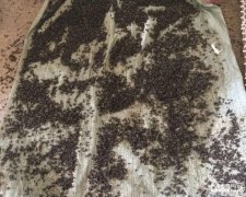 灵异网让我们一起揭开神秘世界的面