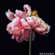 情感电台-聆听心灵的声音