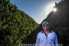 世界历史故事-探索古今中外的传奇往事