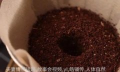 张苇村贪色中计山东省党部长张苇村被刺案