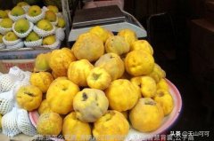 历史人物故事如何激发我们的灵感
