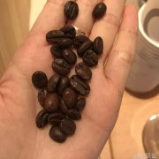 闽南民间故事 拿饭匙抵猫