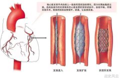 神秘的时空之门探寻世界历史的秘密